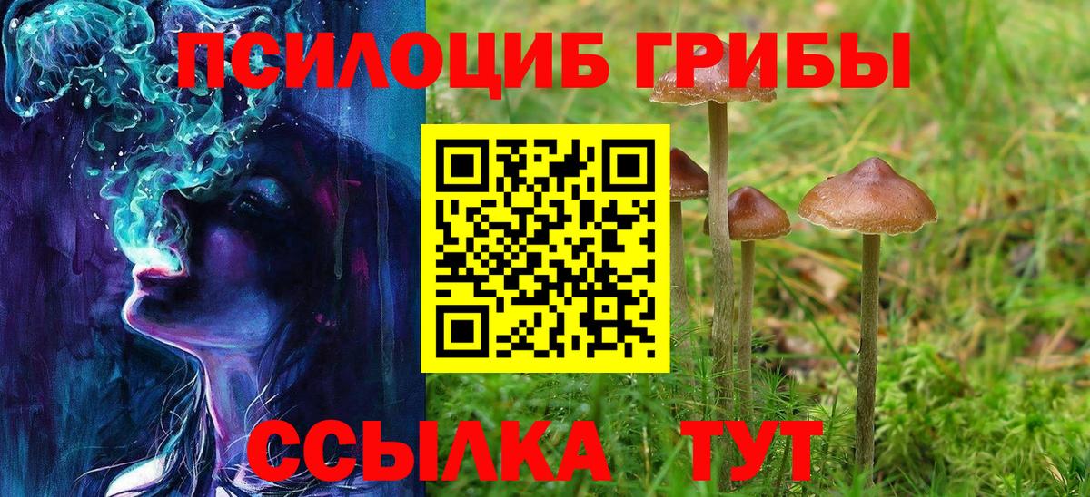 Псилоцибиновые грибы MAGIC MUSHROOMS  Псилоцибиновые грибы мицелий  Вход с VPN  Сланцы 