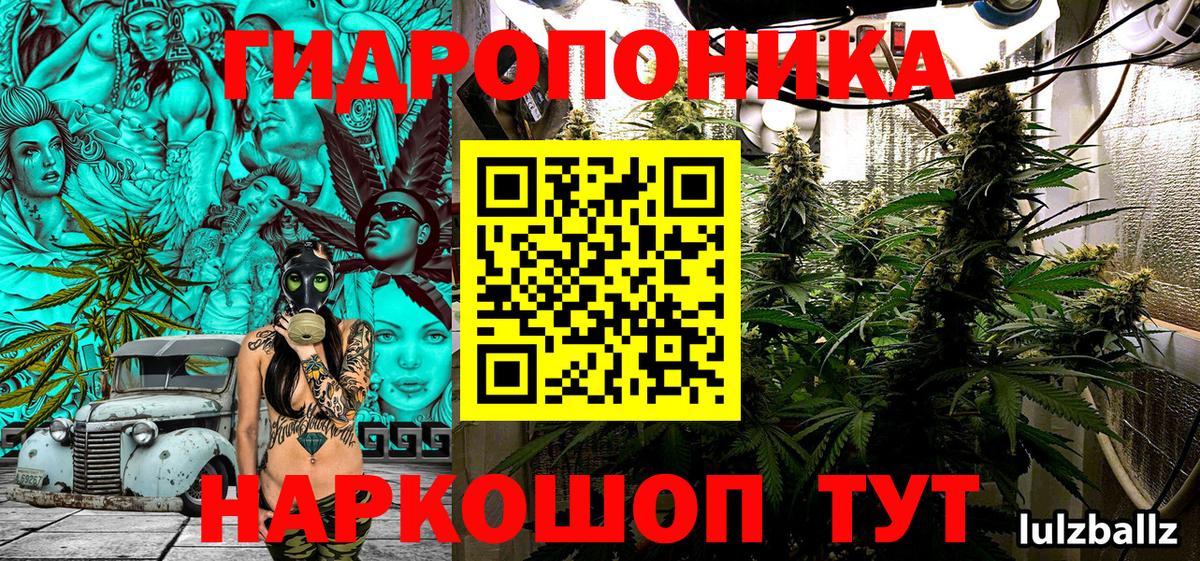 Сланцы  МАРИХУАНА марихуана  Канабис Bruce Banner  Вход с VPN  Бошки марихуана White Widow  Марихуана MAZAR 